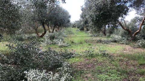 Tivissa 3